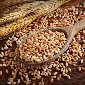 whole-wheat