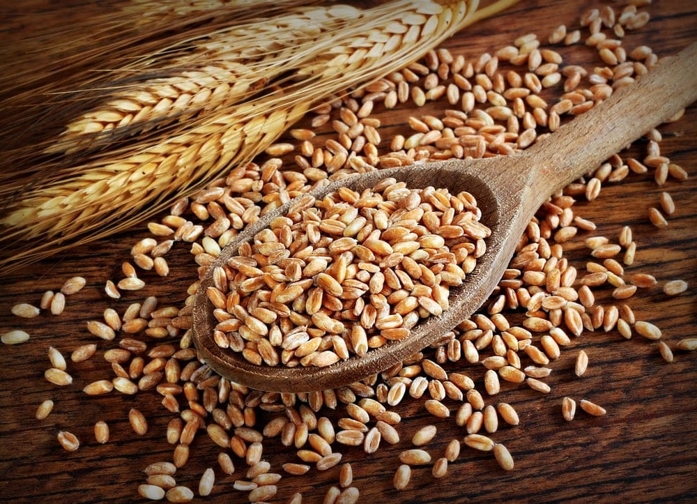whole-wheat
